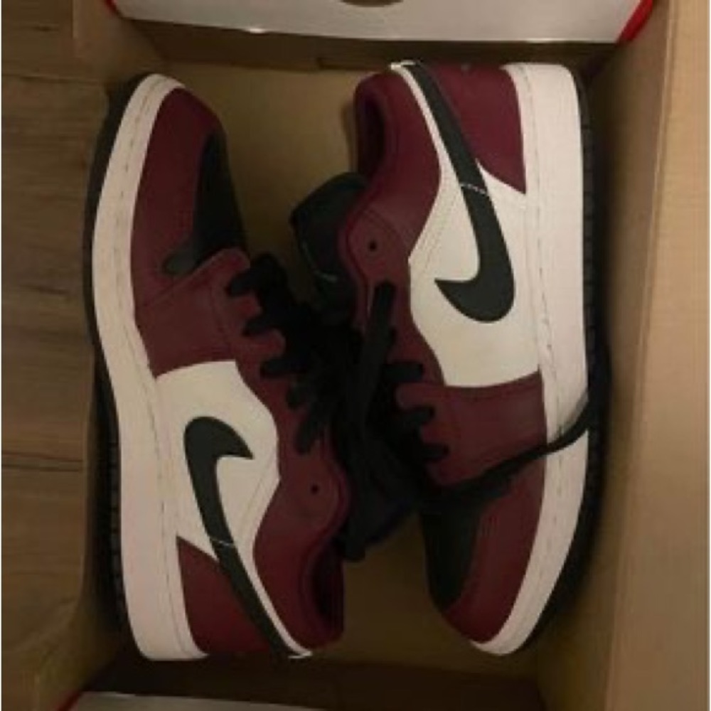 Brand new Nike dunks